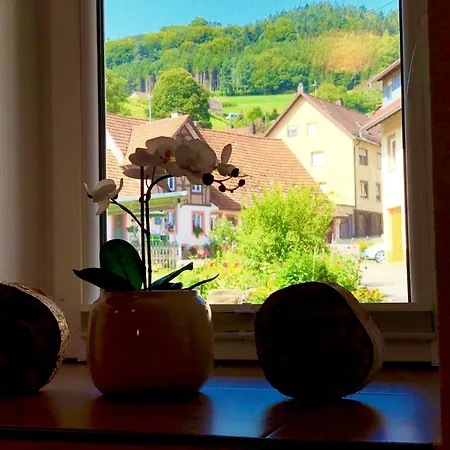 Apartament Ferien Im Schwarzwald Doerlinbach Dorlinbach Zewnętrze zdjęcie