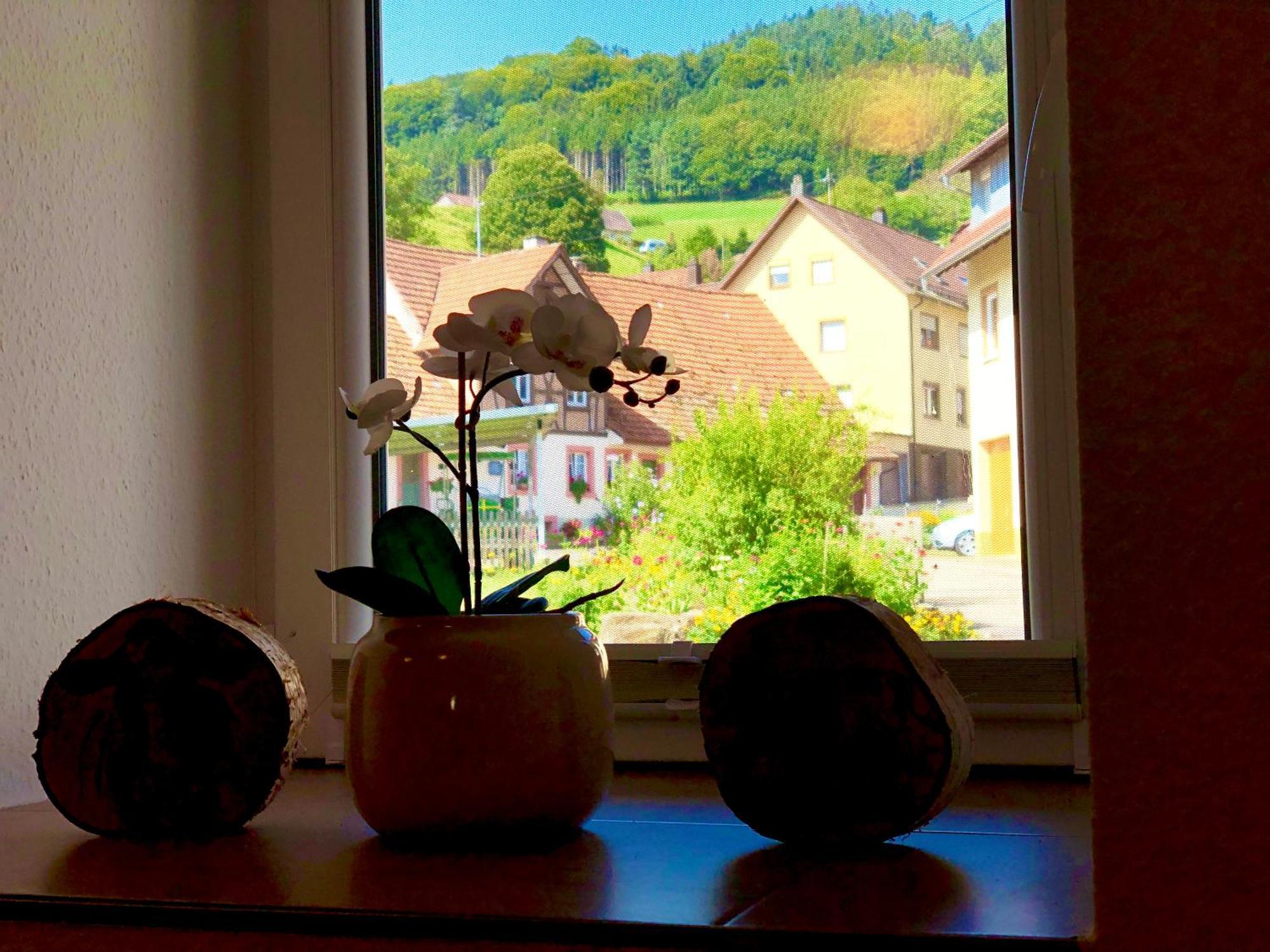 Apartment Ferien Im Schwarzwald Doerlinbach Dorlinbach