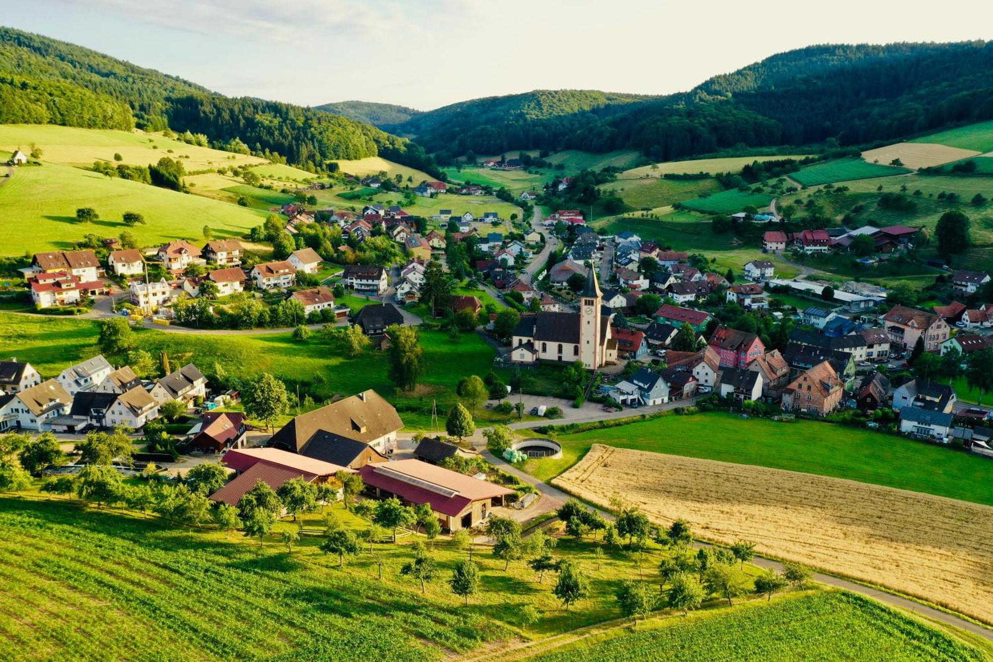 Ferien Im Schwarzwald Doerlinbach Apartment