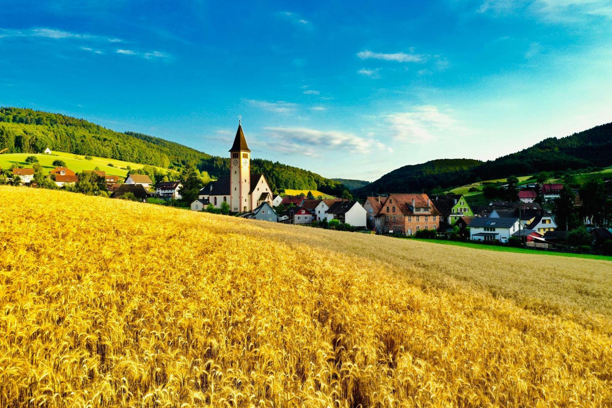 Ferien Im Schwarzwald Doerlinbach Dorlinbach
